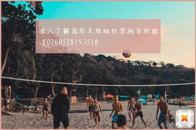 深入了解国际足联组织架构与职能_20260528193518